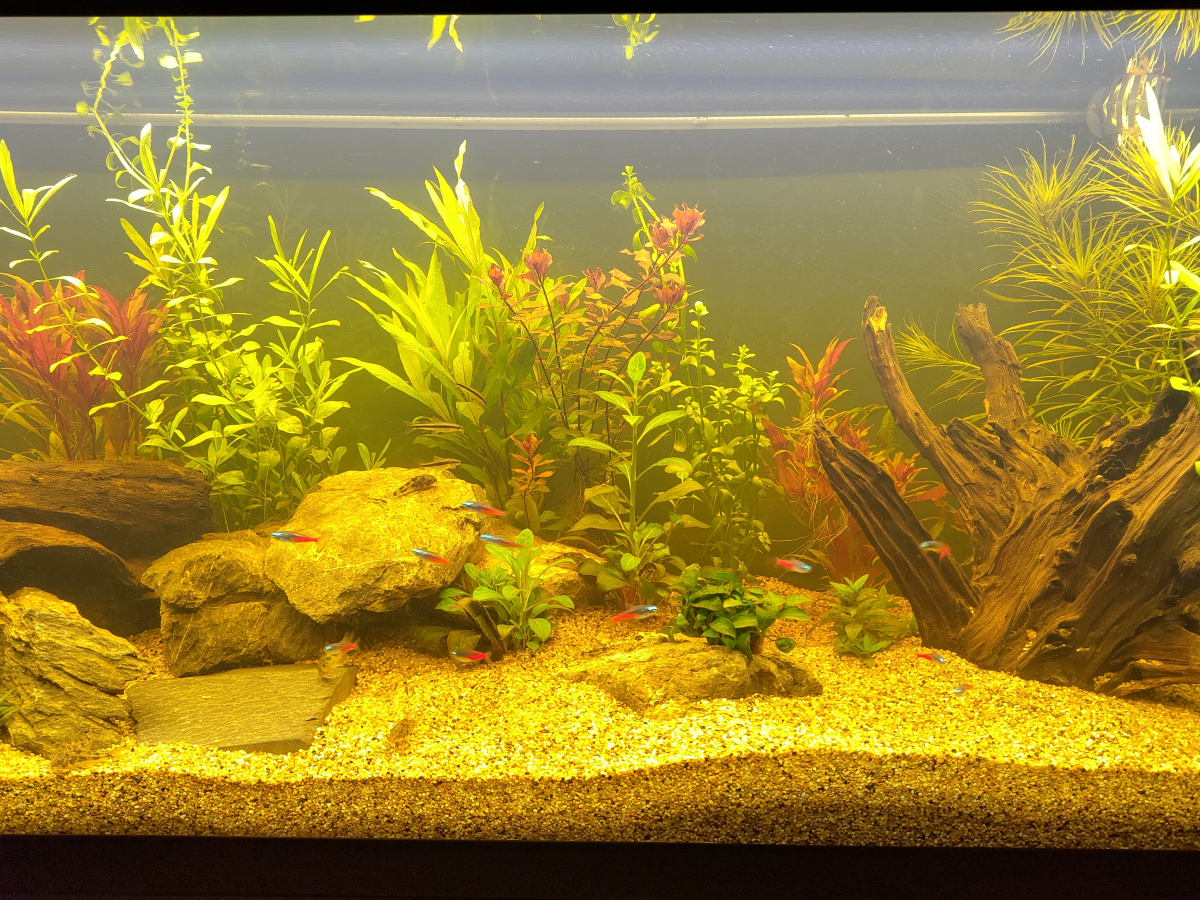 Welcome to Faith and Fishes